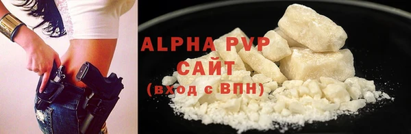 Альфа ПВП Новозыбков