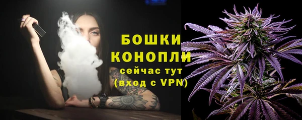 mdpv Новодвинск